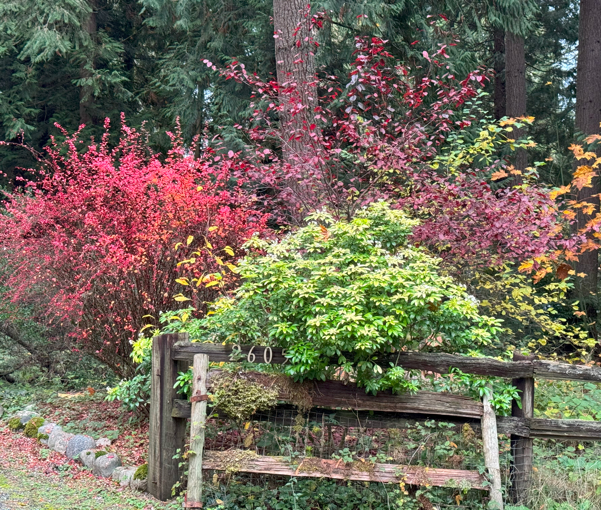 Fall at Home