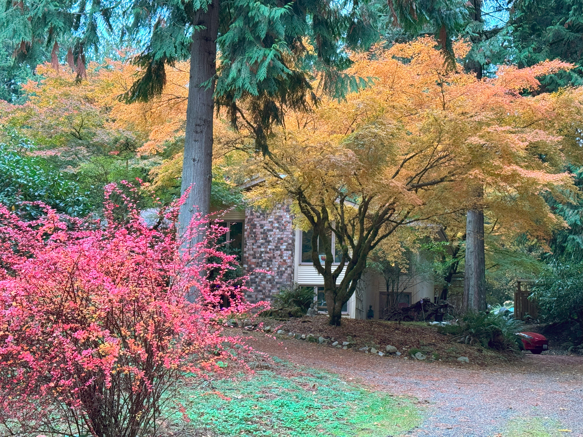 Fall at Home