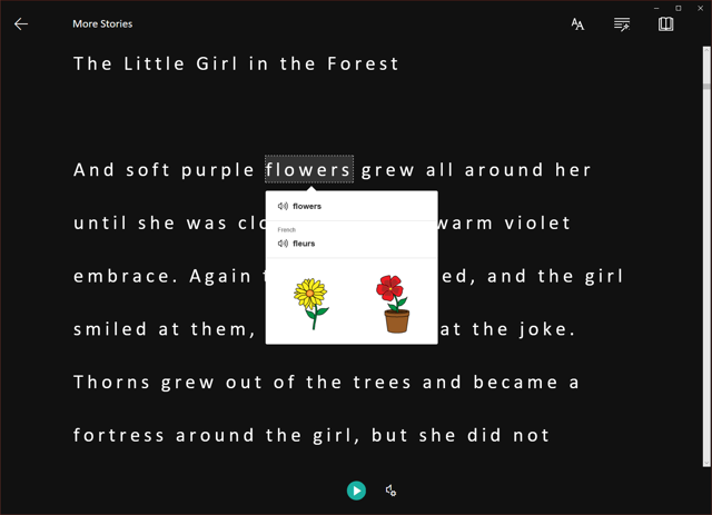 Screenshot of Learning Tools Translation